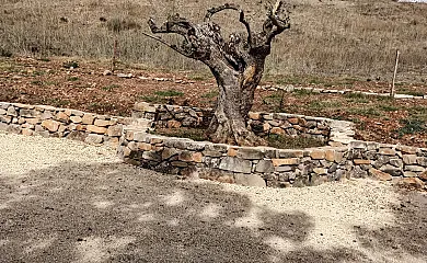 Casa El Roble en La Joya (Málaga) - Foto 21