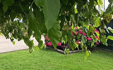 Apartamentos rurales El Orbayu en Cudillero (Asturias) - Foto 21