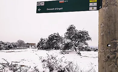 Cal París Rural en Donzell D´Urgell (Lleida) - Foto 22