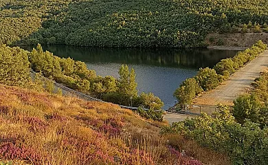 Alojamiento Rural El Mirador del Hayedo en Riofrío de Riaza (Segovia) - Foto 3