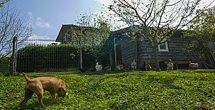 Casa Rural  Tolare Berri 003