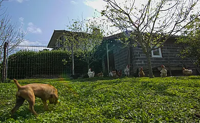 Casa Rural  Tolare Berri en Zestoa (Guipuzcoa) - Foto 3