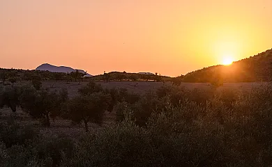 Sol de Taberno en Taberno (Almería) - Foto 14