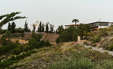 Sol de Taberno en Taberno (Almería) - Foto 16