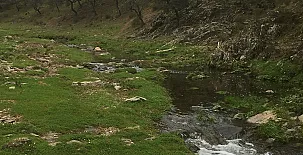 Casas Rurales Navalonguilla 0022