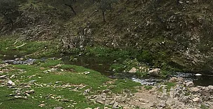 Casas Rurales Navalonguilla 0030