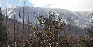Casa rural El Rincón de Gredos 0020