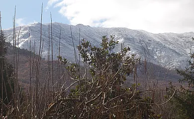 Casa rural El Rincón de Gredos en Navaluenga (Ávila) - Foto 20