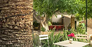 Alojamiento Rural El Azamur 0044