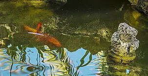 Alojamiento Rural El Azamur 0048