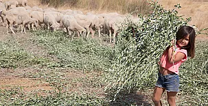 Cortijo Los Tomillares 005