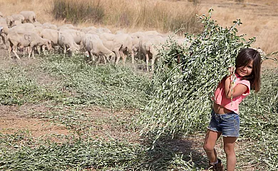 Cortijo Los Tomillares en Guadalcanal (Sevilla) - Foto 5