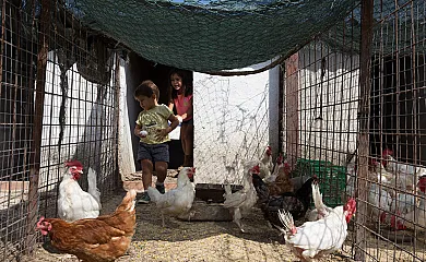 Cortijo Los Tomillares en Guadalcanal (Sevilla) - Foto 7