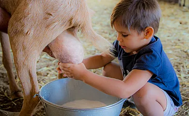 Cortijo Los Tomillares en Guadalcanal (Sevilla) - Foto 10