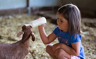 Cortijo Los Tomillares en Guadalcanal (Sevilla) - Foto 12
