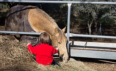 Cortijo Los Tomillares en Guadalcanal (Sevilla) - Foto 17