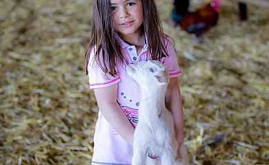 Cortijo Los Tomillares en Guadalcanal (Sevilla) - Foto 20