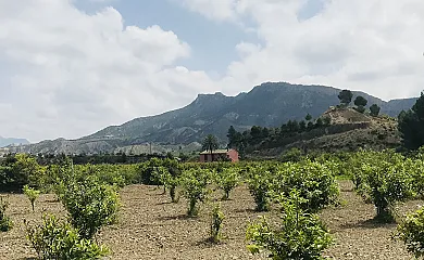 Casa Ramoncico en Blanca (Murcia) - Foto 13