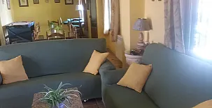 Alojamiento Rural Torre Hueca 0027