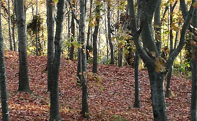 Indate Berri en Aia (Guipuzcoa) - Foto 13