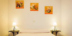 Villanueva Rural 0014