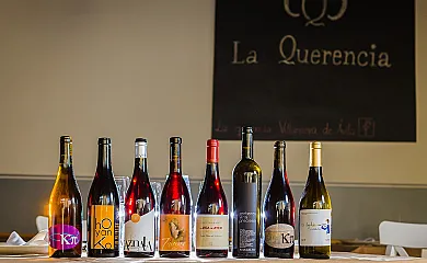 Villanueva Rural en Villanueva de Avila (Ávila) - Foto 19