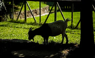El Corral del Lladurs en Lladurs (Lleida) - Foto 23