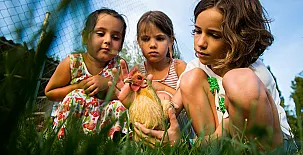 El Corral del Lladurs 0017