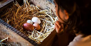 El Corral del Lladurs 0018