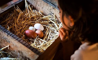 El Corral del Lladurs en Lladurs (Lleida) - Foto 18