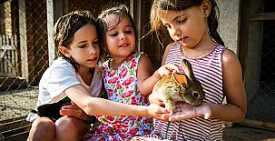 El Corral del Lladurs 0019