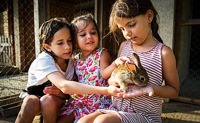 El Corral del Lladurs en Lladurs (Lleida) - Foto 19
