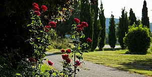 El Corral del Lladurs 0011