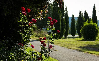 El Corral del Lladurs en Lladurs (Lleida) - Foto 11