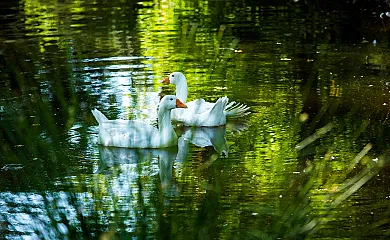 El Corral del Lladurs en Lladurs (Lleida) - Foto 20