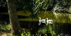 El Corral del Lladurs 0021