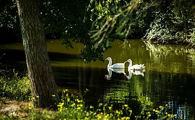 El Corral del Lladurs en Lladurs (Lleida) - Foto 21