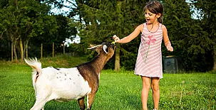 El Corral del Lladurs 0022