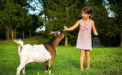 El Corral del Lladurs en Lladurs (Lleida) - Foto 22