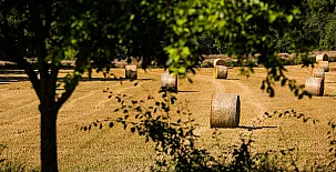 El Corral del Lladurs 0029