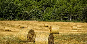 El Corral del Lladurs 0030