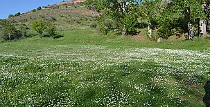 El Molino del Serio 0030