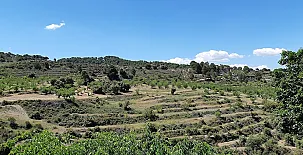 Cortijo Balzain Casas Rurales 0050