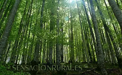 Casa Pierra en Ochagavía (Navarra) - Foto 4