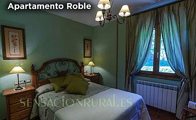 Casa Martin Ordesa en Sarvisé (Huesca) - Foto 11