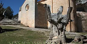 Cañón de Río Lobos I y II 009
