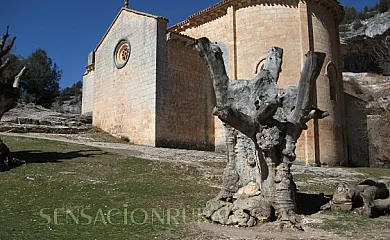 Cañón de Río Lobos I y II en Casarejos (Soria) - Foto 9