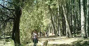 Cañón de Río Lobos I y II 0011