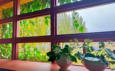 Finca Santa Eufemia en Olmos de Ojeda (Palencia) - Foto 3