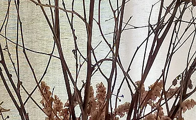 Finca Santa Eufemia en Olmos de Ojeda (Palencia) - Foto 18